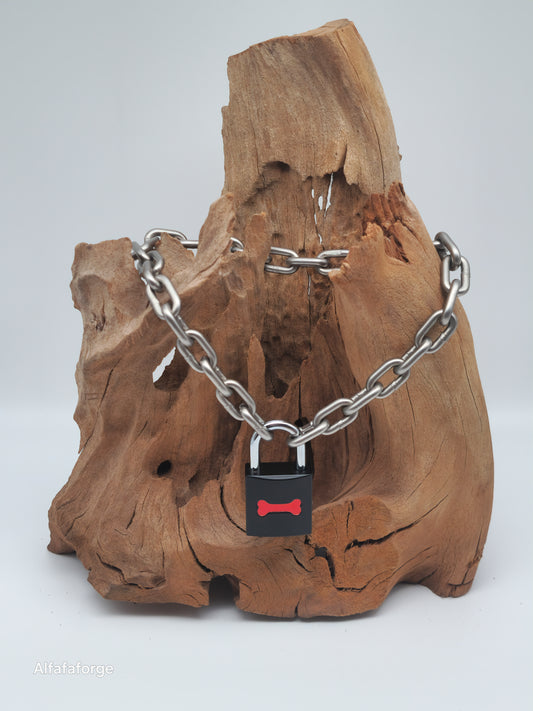 Guardian Inferno Combo engraved with Stainless Steel Chain