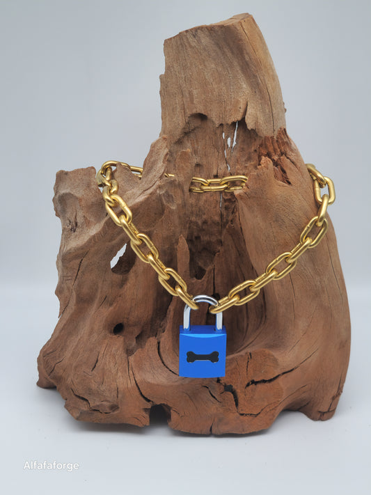 Guardian Saphire Invers Combo engraved with Shiny Gold Chain & silver Shackle