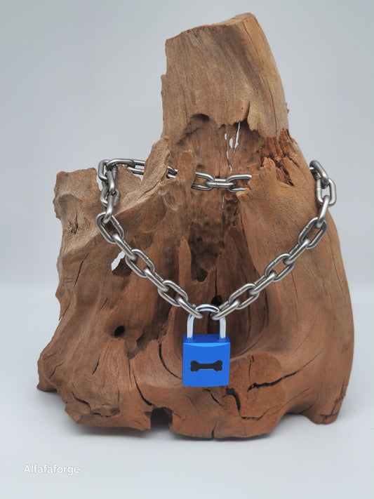 Guardian Saphire Invers Combo engraved with Stainless Steel Chain & silver Shackle