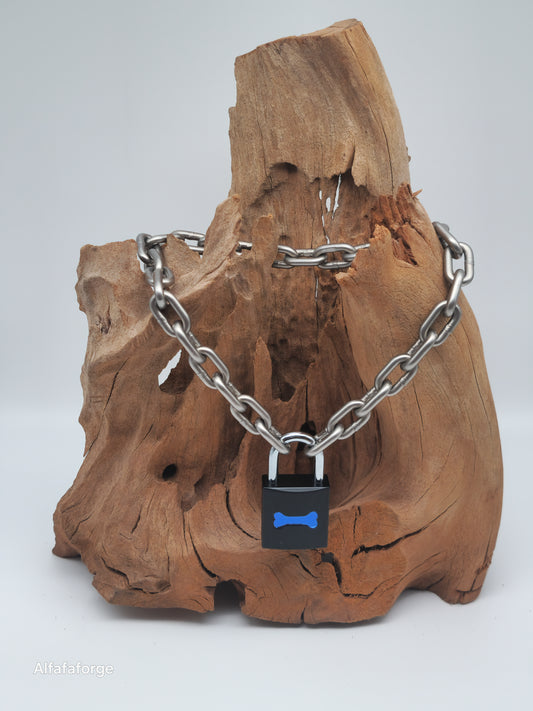 Guardian Saphire Combo engraved with Stainless Steel Chain