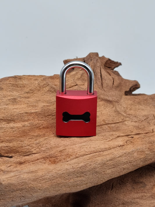 Guardian Inferno Inverse Lock with Silver Shackle + Laserengravement