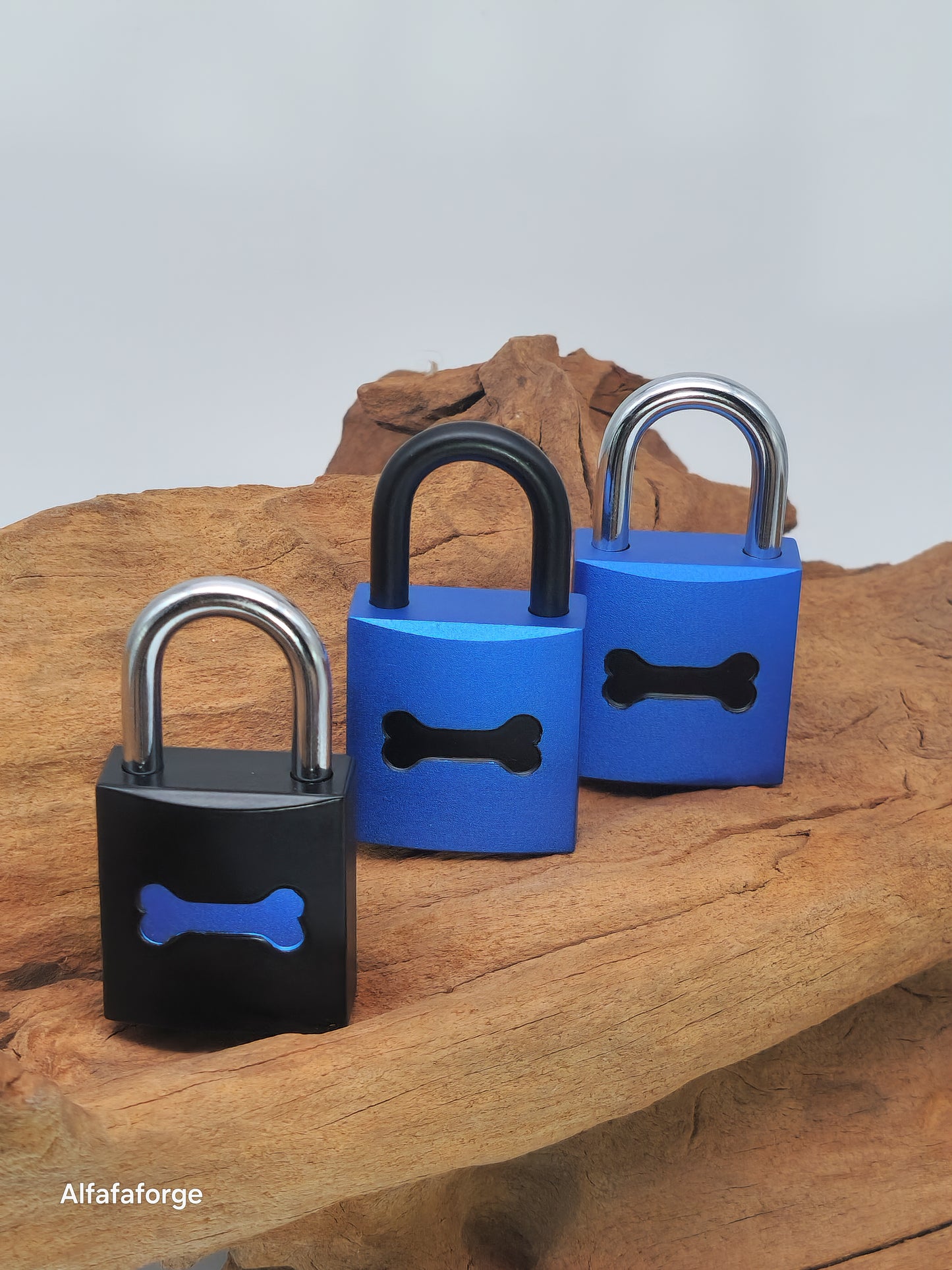Guardian Sapphire Inverse Lock mit silbernem Schäkel + Lasergravur