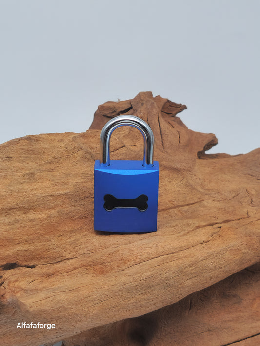 Guardian Sapphire Inverse Lock with Silver Shackle