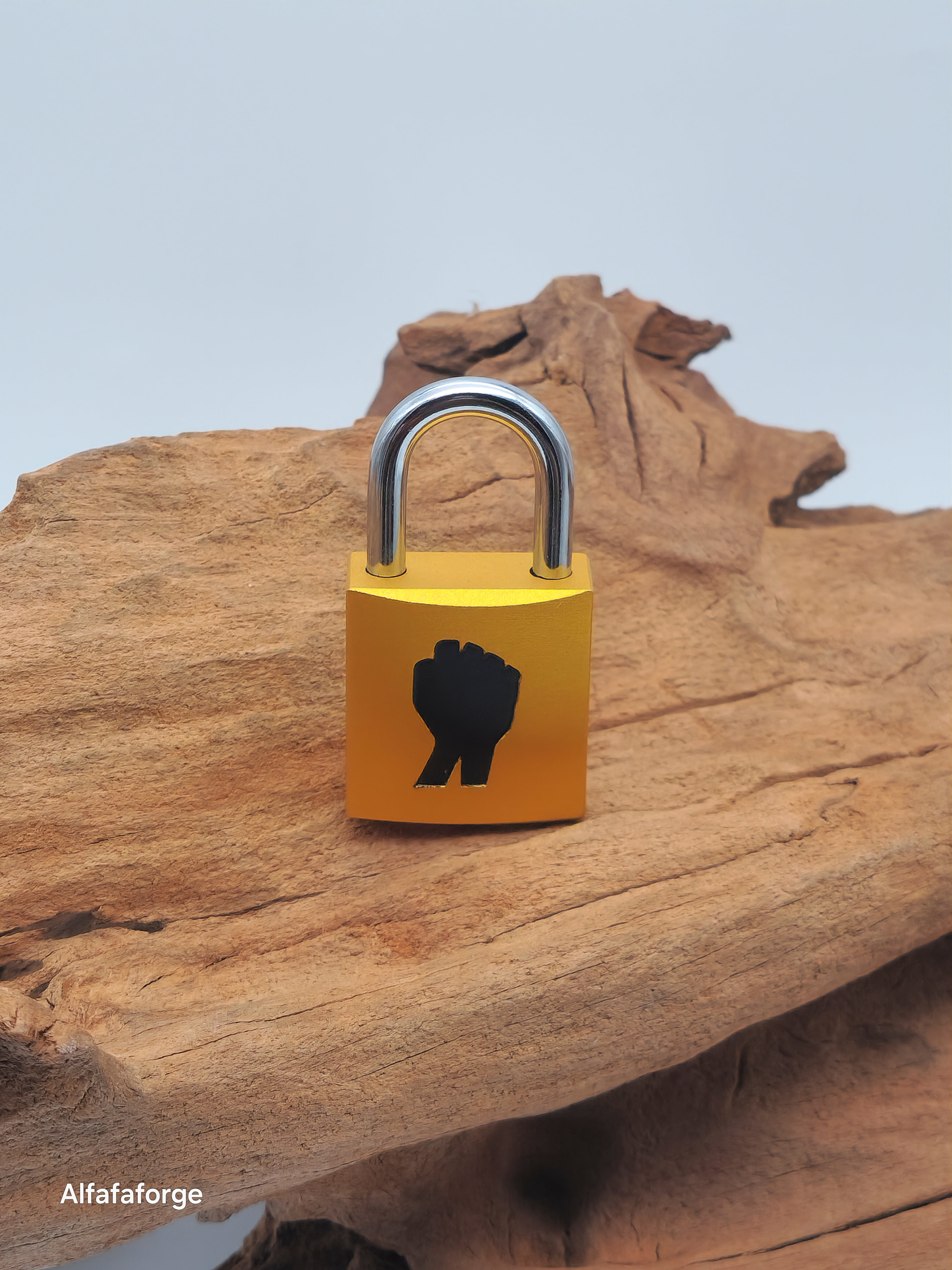 Titan Flare Inverse Lock with silver Shackle – ALFAFORGE