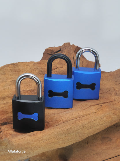 Guardian Sapphire Inverse Lock mit silbernem Schäkel